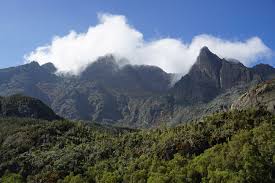 African Landscape